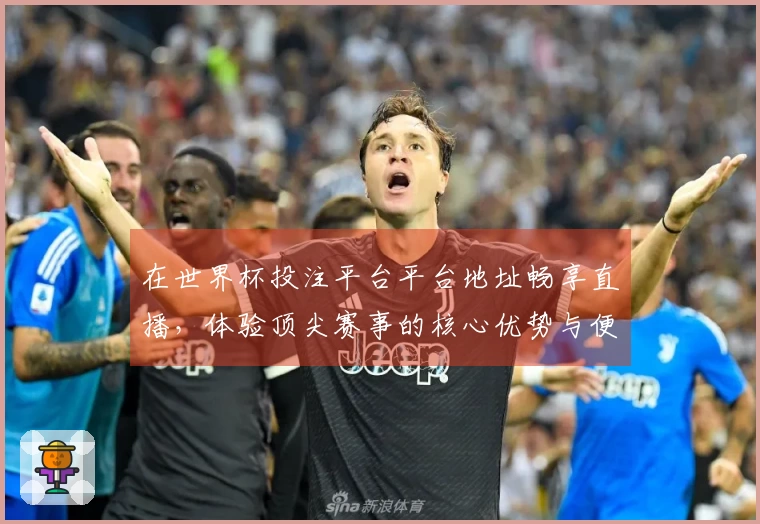 在世界杯投注平台平台地址畅享直播，体验顶尖赛事的核心优势与便捷功能
